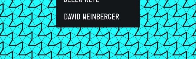 David Weinberger - La stanza intelligente