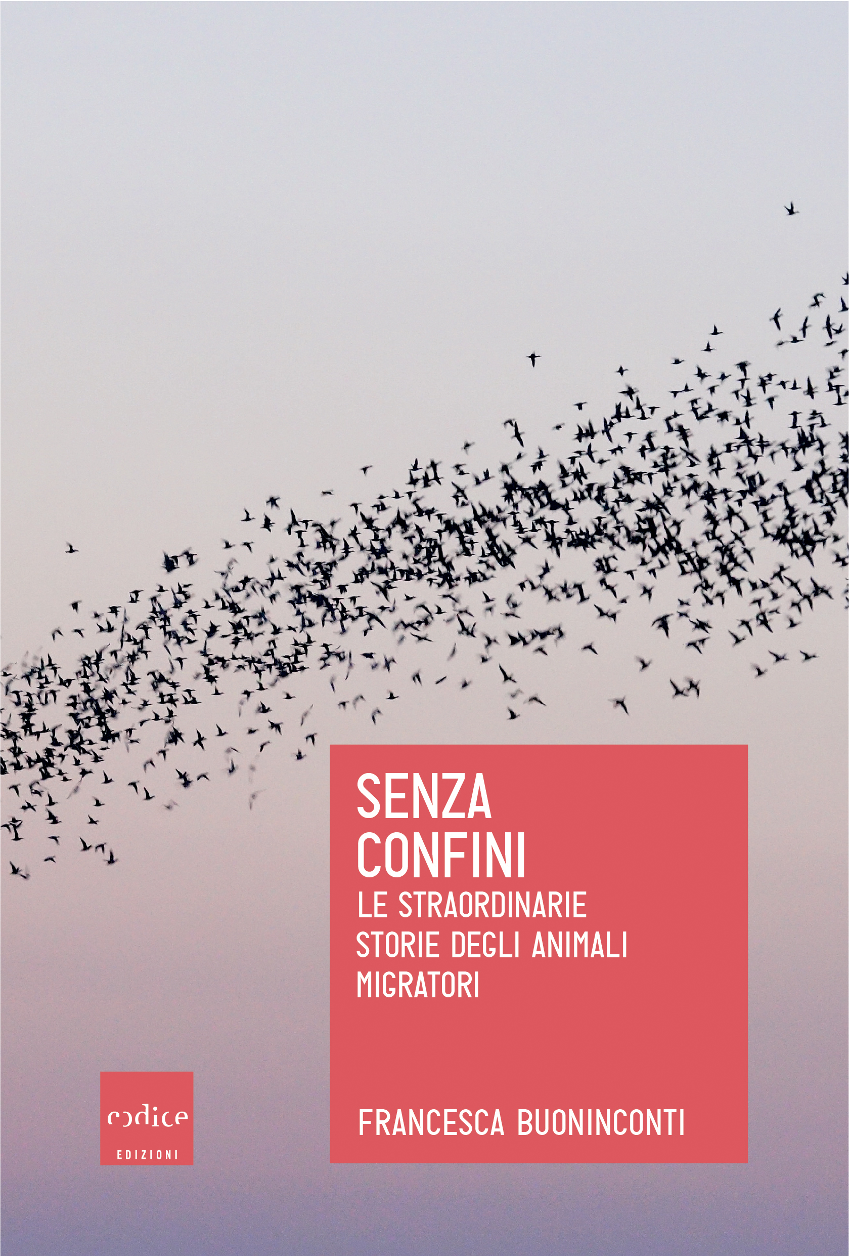 "Senza confini" di Francesca Buoninconti