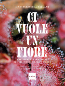 "Ci vuole un fiore" Mariacristina Villani