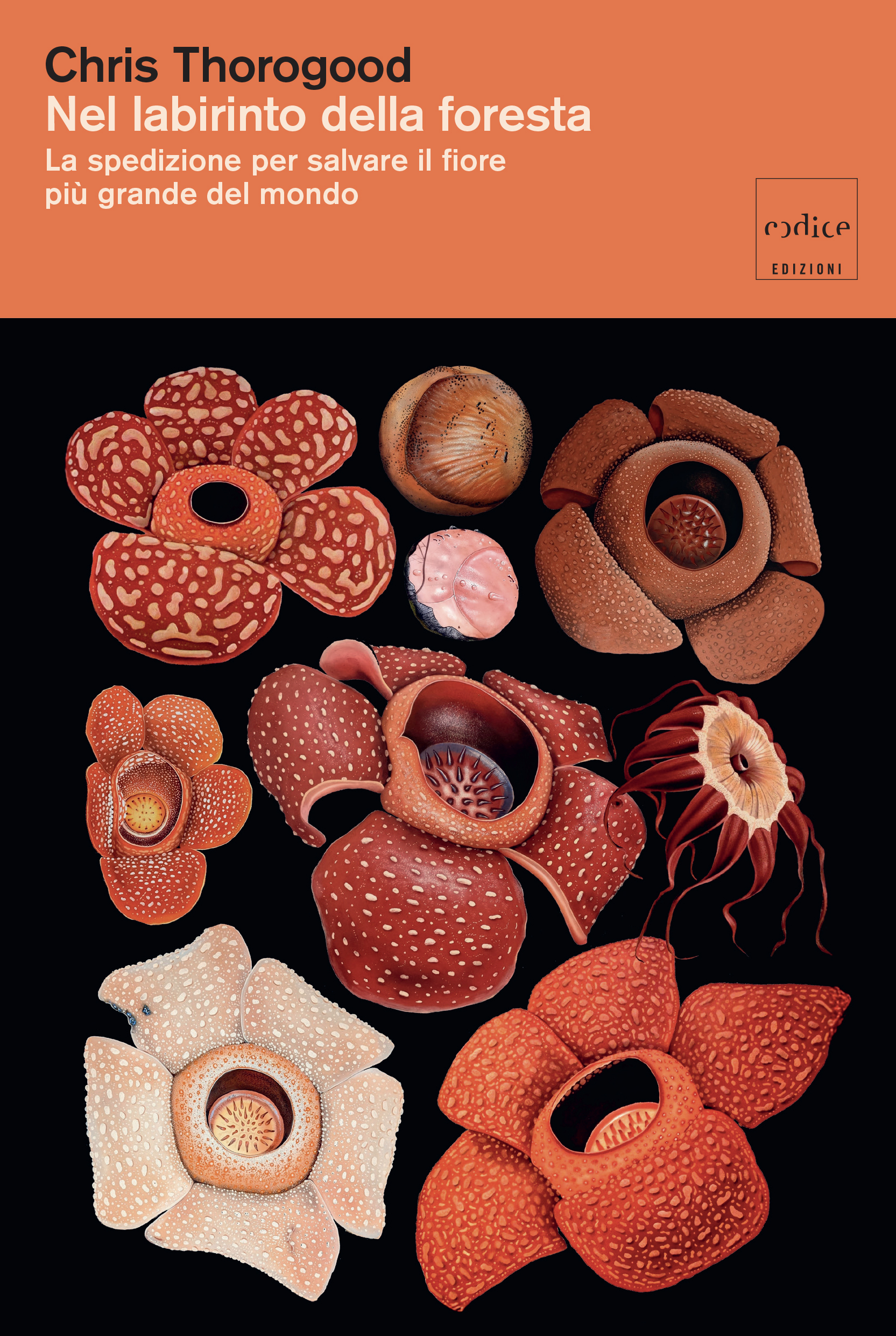 "Nel labirinto della foresta" Chris Thorogood